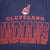 Vintage MLB Cleveland Indians 1994 Starter Tee Shirt Size Large Made In USA With Single Stitch Sleeves