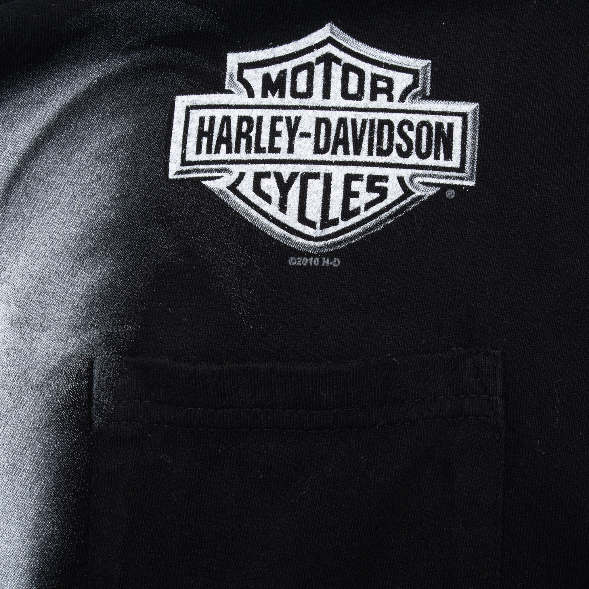 Vintage Harley Davidson Flaming Gorges 2010 Tee Shirt Size XL