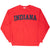 Vintage Ncaa Indiana University Sweatshirt 1990S Size XL Made In Usa