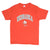 Vintage Champion NFL Nebraska Huskers 1980S Tee Shirt Size Medium Made In USA With Single Stitch Sleeves