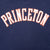 VINTAGE PRINCETON UNIVERSITY HEAVY HOODIE SWEATSHIRT 1990S LARGE MADE IN USA
