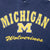 VINTAGE NCAA MICHIGAN WOLVERINES 1990S HOODIE SWEATSHIRT LARGE MADE IN USA