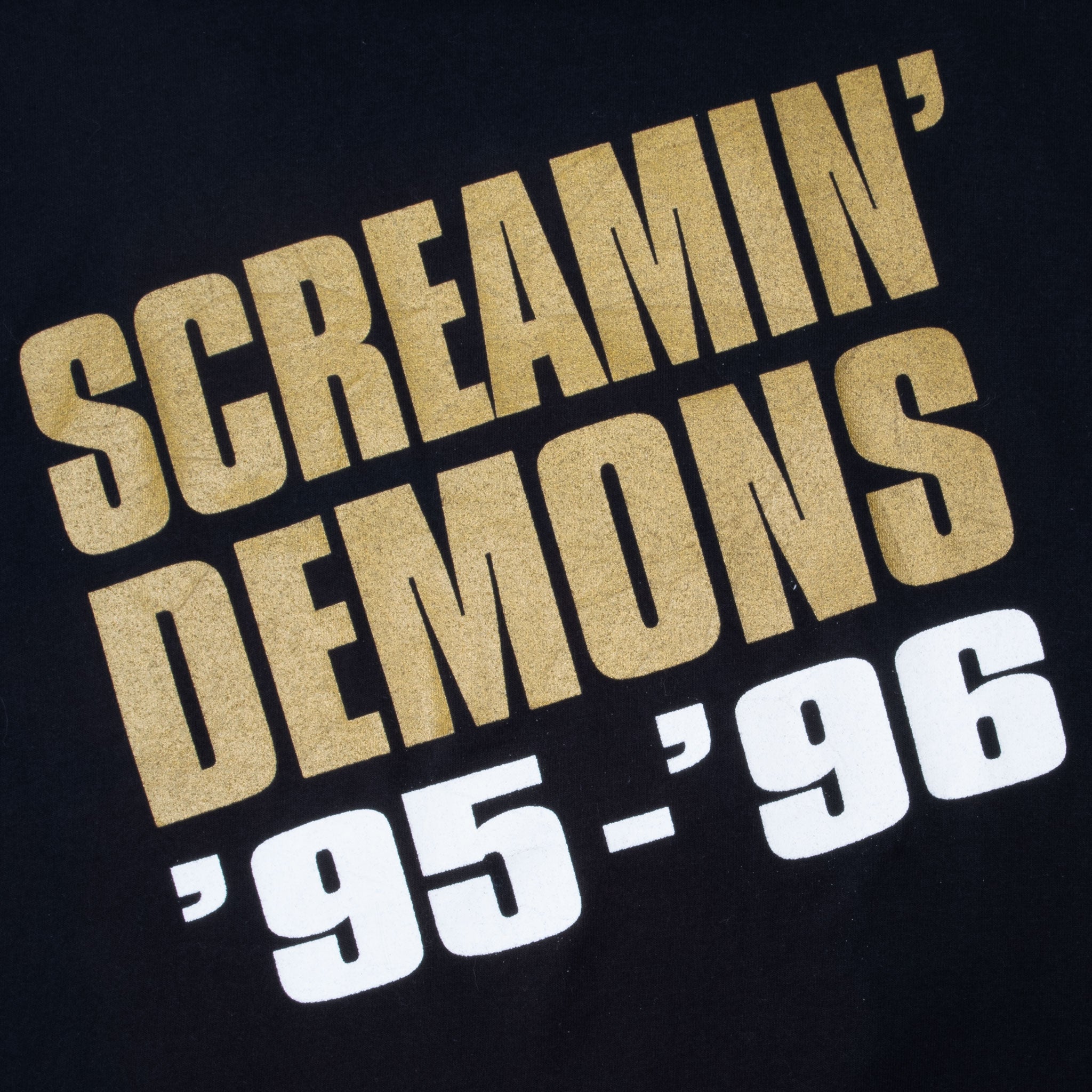 VINTAGE SCREAMIN' DEMONS BAND TOUR 1995 1996 TEE SHIRT SIZE LARGE