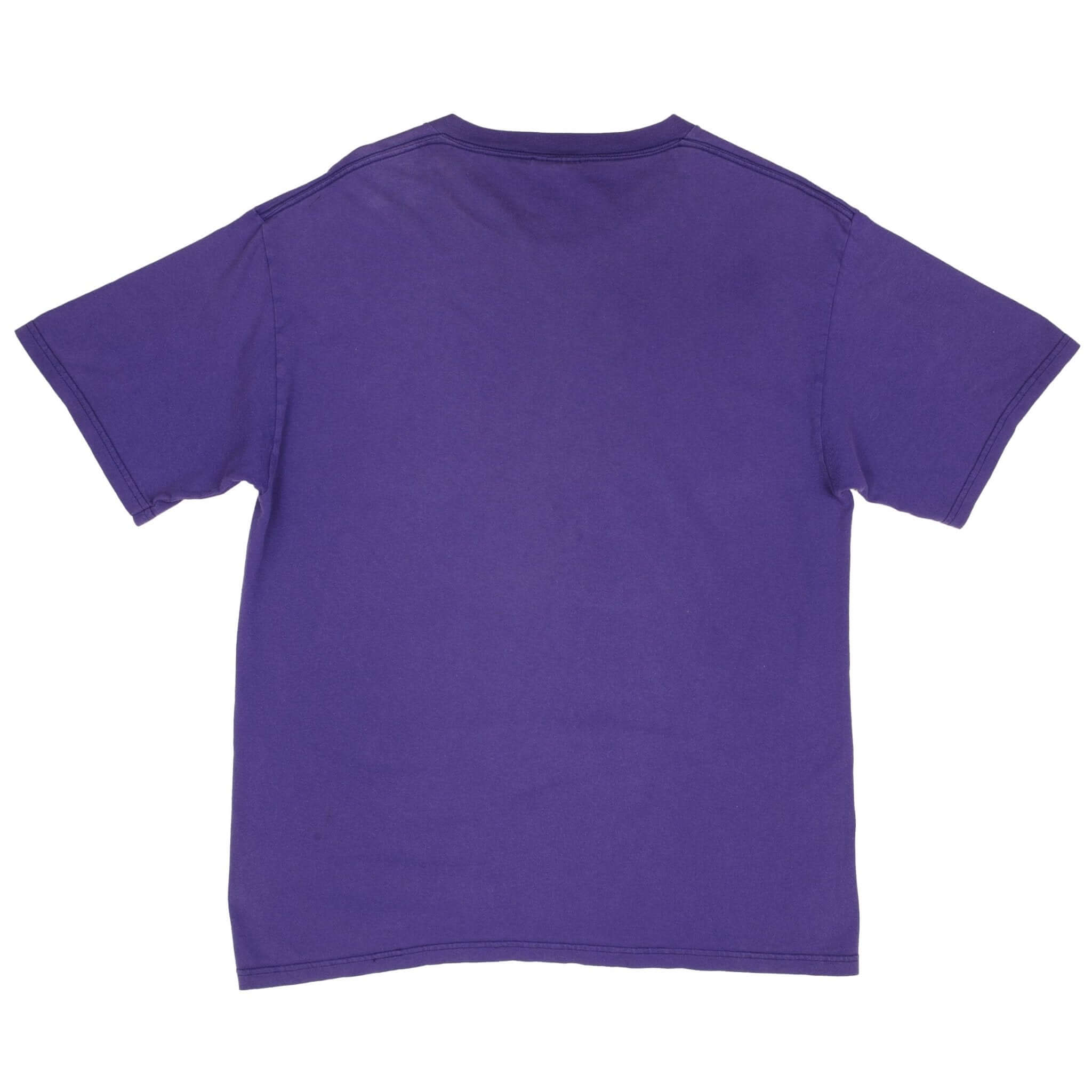 Vintage NFL Minnesota Vikings 1999 Tee Shirt Size Large Made In USA