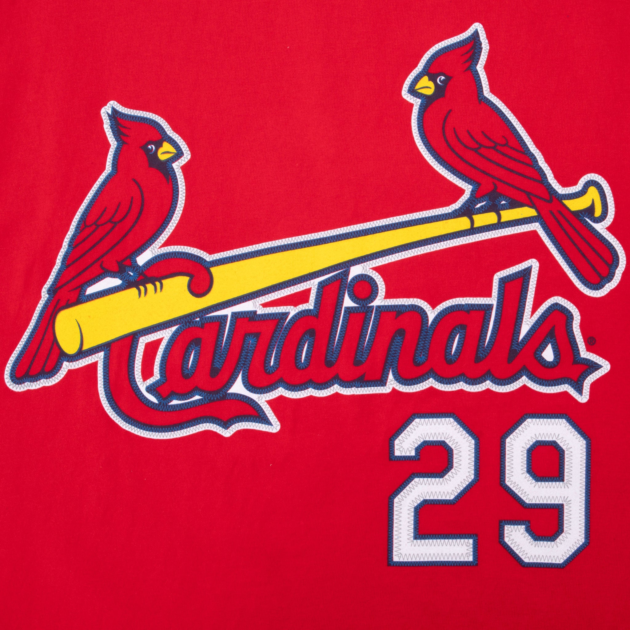 VINTAGE MLB ST LOUIS CARDINALS CARPENTER #29 TEE SHIRT 2007 MEDIUM