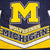 VINTAGE MICHIGAN WOLVERINES TEE SHIRT SIZE LARGE MADE IN USA