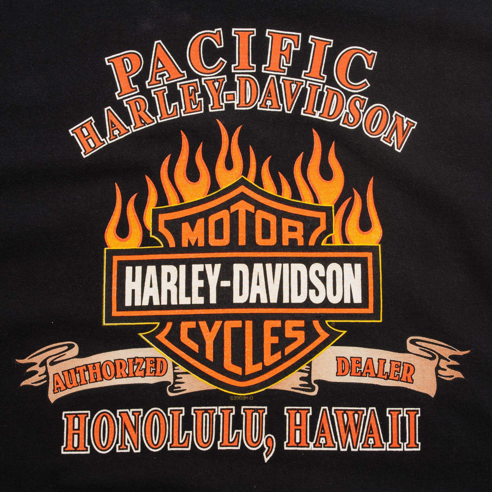 VINTAGE HARLEY DAVIDSON TEE SHIRT 2001 SIZE MEDIUM