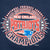 Vintage Nfl New England Patriots Afc Eastern Division 1996 Champions Sweatshirt Size Large Made In Usa