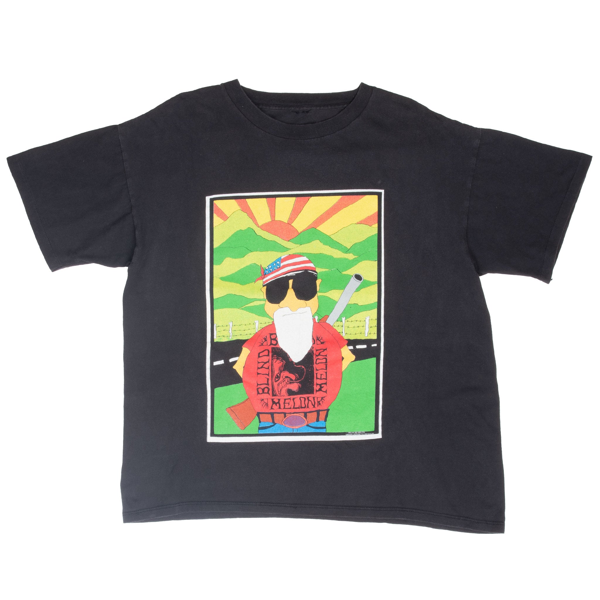 Vintage Blind Melon 1993 Concert Tee Shirt Size XL With Single Stitch Sleeves