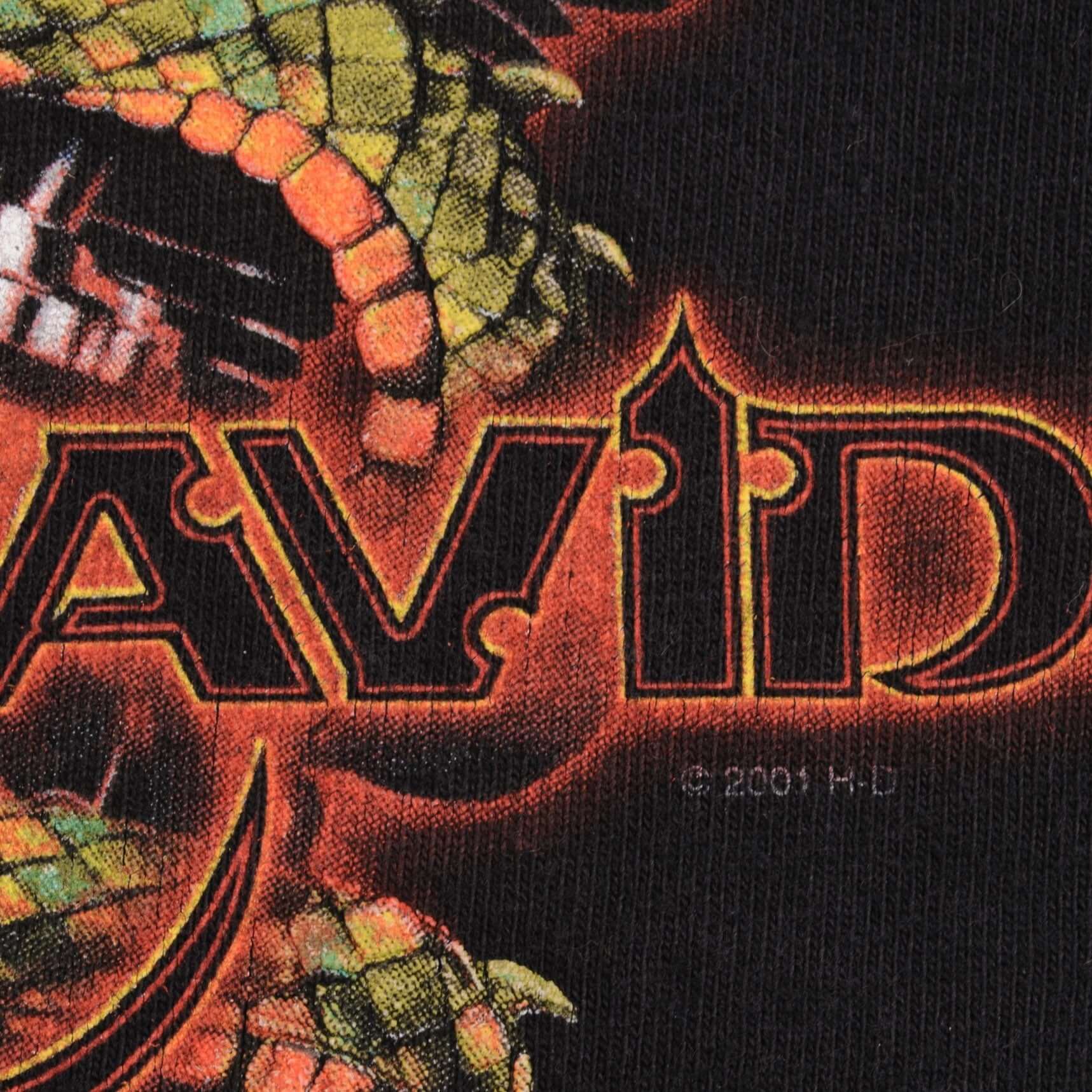 Vintage Black Harley Davidson Dragon Springfield Missouri Tee Shirt 2001 Size Large Made In USA