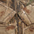 Vintage Realtree Camo Redhead Hunting Jacket Size Small