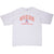 Full front of gray San Francisco 49ers NFL embroidered T-shirt