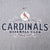 Close-up of Nike Swoosh and St. Louis Cardinals Baseball Club front graphic