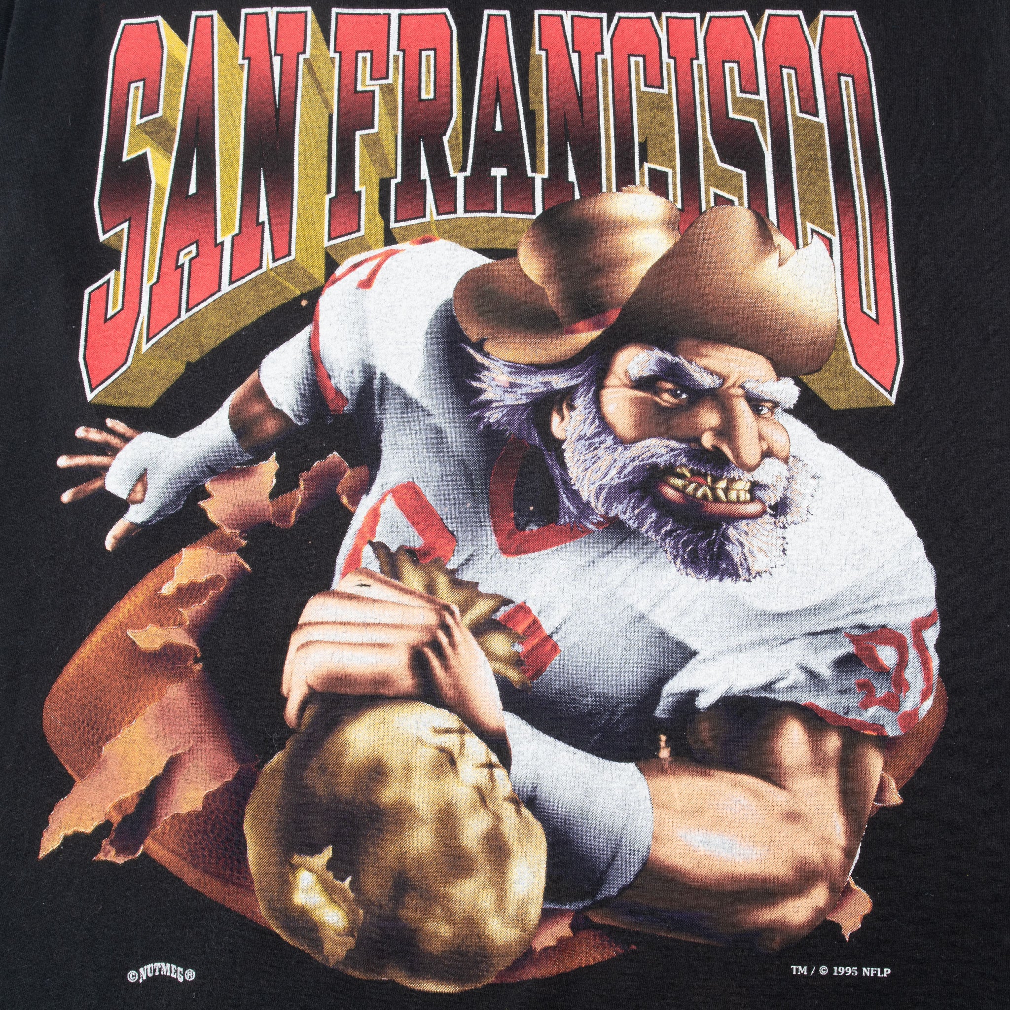 VINTAGE NFL SAN FRANCISCO 49ERS 1995 TEE SHIRT SIZE MEDIUM MADE IN USA
