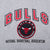 Vintage Nba Chicago Bulls Embroidered 1990S Grey Sweatshirt Size Large