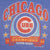 Vintage Mlb Chicago Cubs Champions 1989 Tee Shirt Size Medium Made In USA With Single Stitch Sleeves