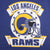 Vintage NFL Los Angeles Rams Tee Shirt Size Medium Made In USA With Single Stitch Sleeves Early 1990S