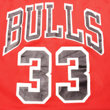 Vintage Champion NBA Chicago Bulls Jersey embroidered Scottie Pippen number 33, from the 1990s Size XL