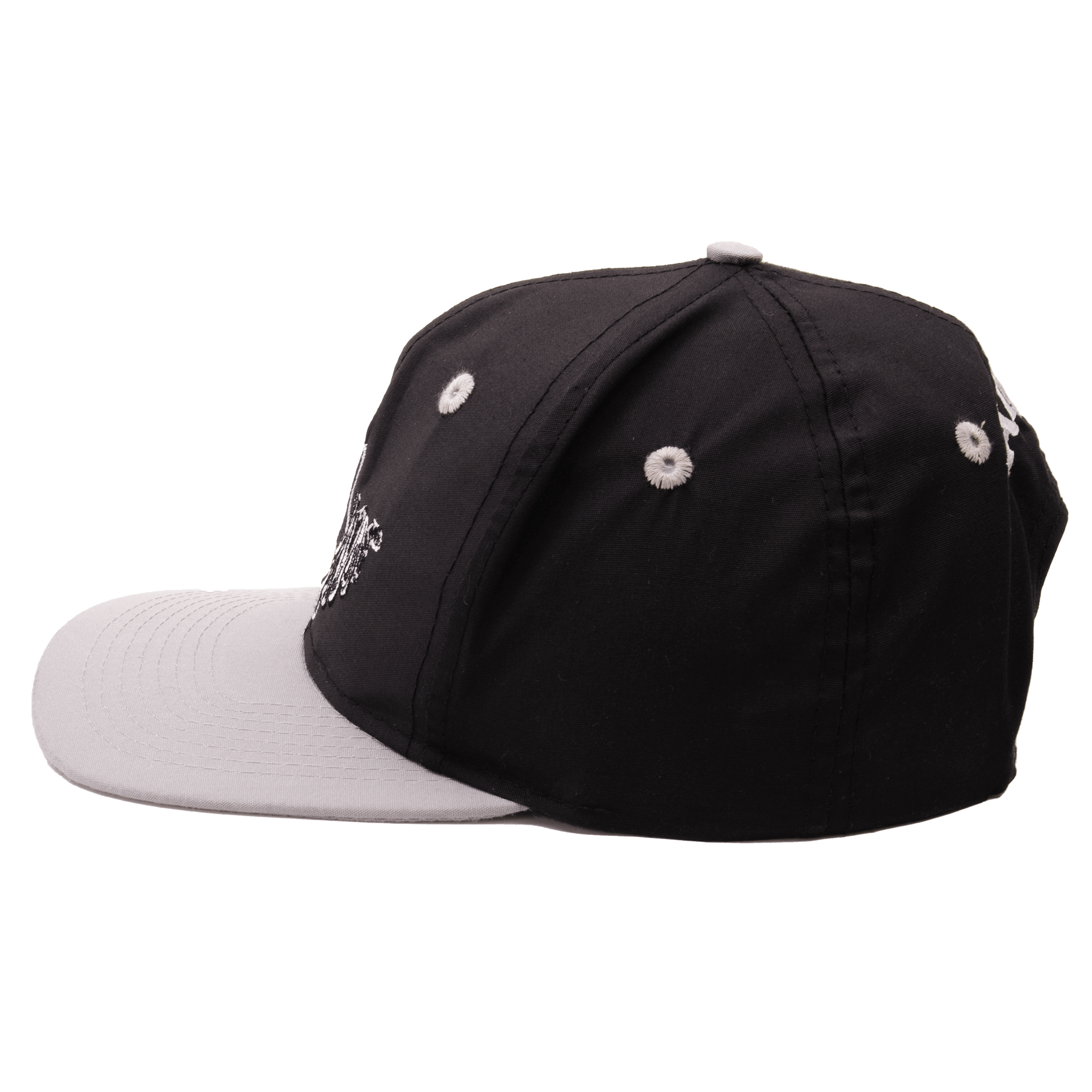 Vintage NFL Los Angeles Raiders Taz Looney Tunes Cap 1993