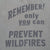 Close-up of back print reading Remember! Only You Can Prevent Wildfires
