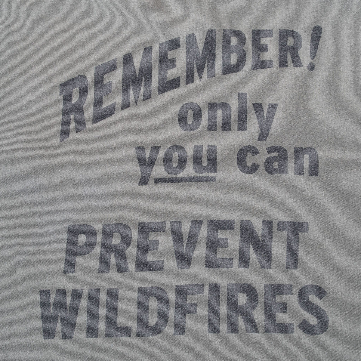 Close-up of back print reading Remember! Only You Can Prevent Wildfires