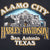 Close-up of Alamo City Harley-Davidson San Antonio Texas back graphic