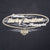Close-up of front Harley-Davidson oval graphic with flames and Bar & Shield logo