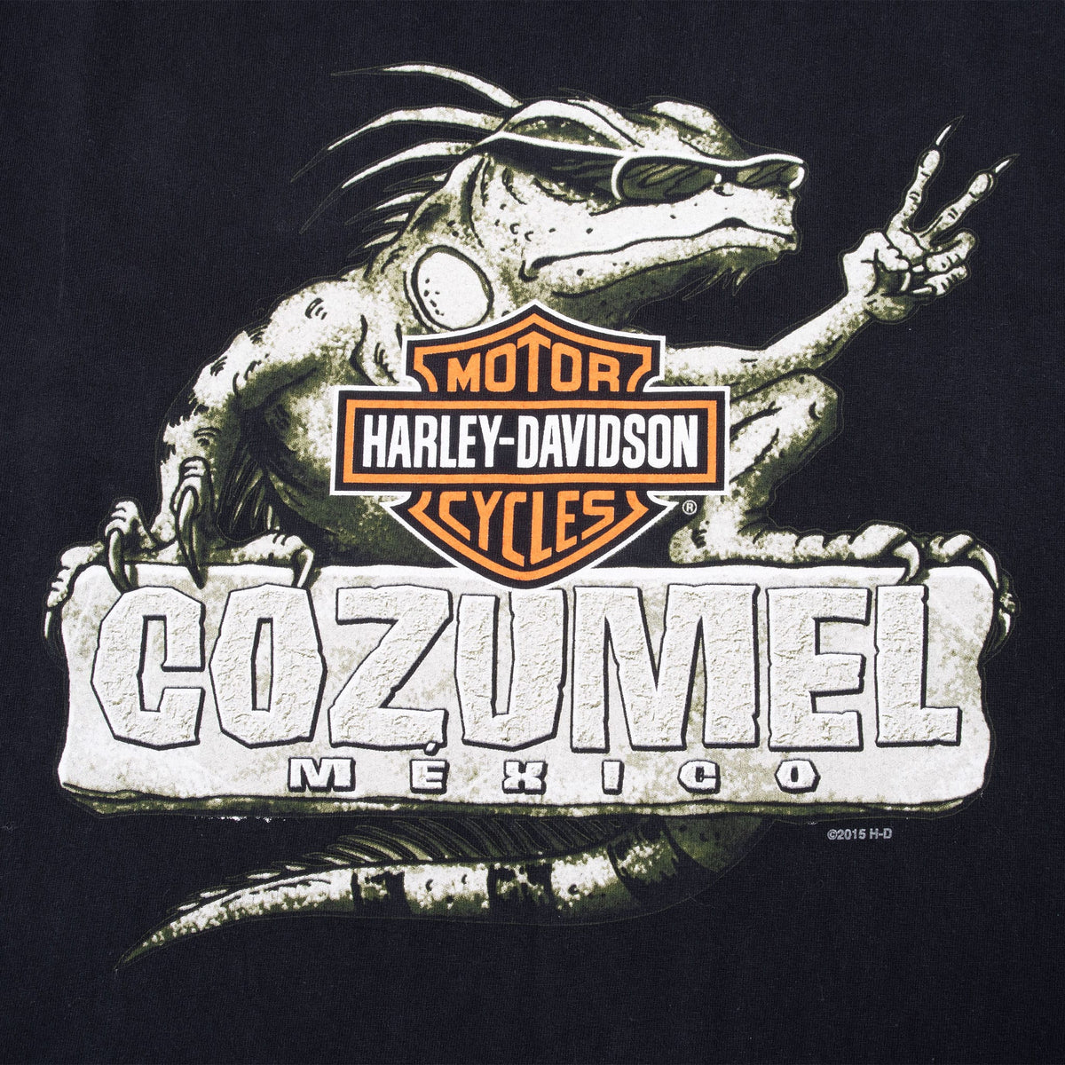 Front graphic detail of iguana, Harley-Davidson logo, and Cozumel Mexico lettering