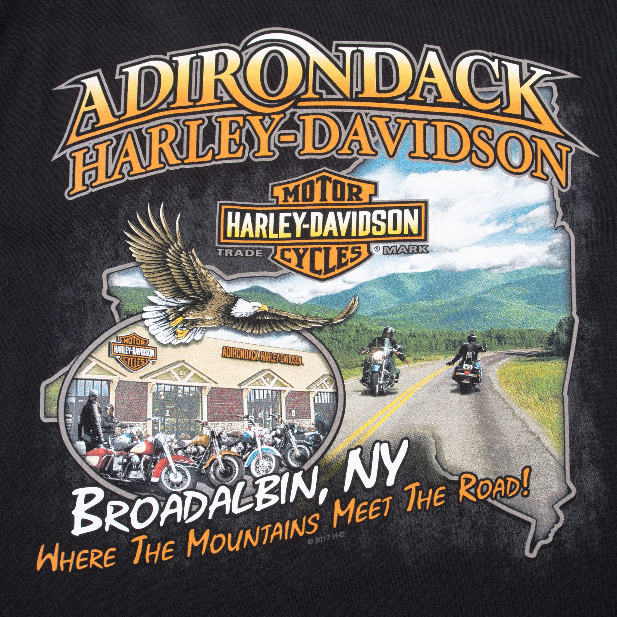 VINTAGE HARLEY DAVIDSON BROADALBIN NEW YORK TEE SHIRT 2017 XL DEADSTOCK