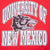 Close-up of gray and black University of New Mexico wolf mascot front graphic
