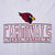 Vintage Nfl Arizona Cardinals 1990S Grey Tee Shirt Size Large Made In Usa