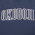 VINTAGE UNIVERSITY OF OKOBOJI 1980S SWEATSHIRT SIZE LARGE MADE IN USA