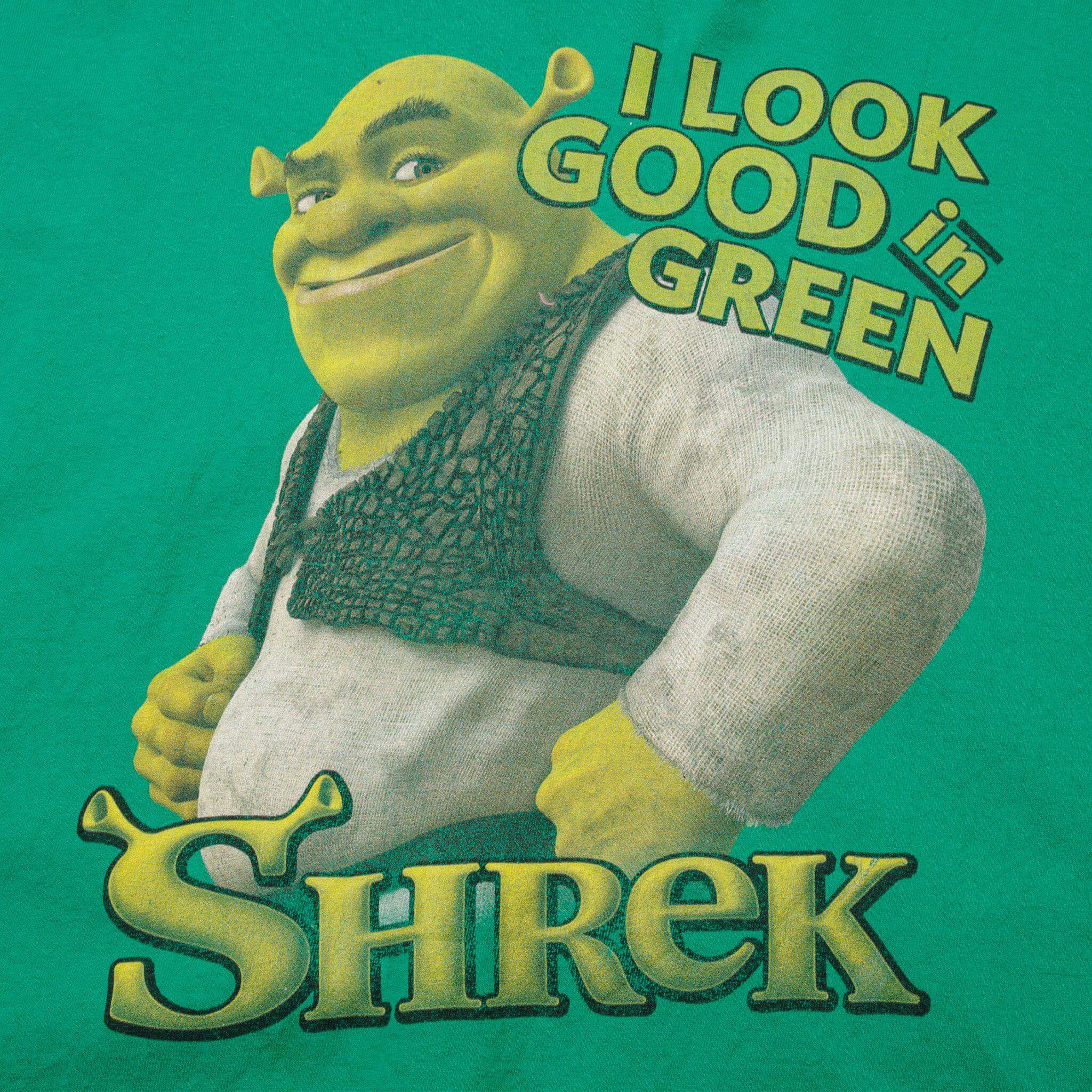 VINTAGE SHREK TEE SHIRT SIZE 2XL