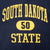 VINTAGE CHAMPION REVERSE WEAVE SOUTH DAKOTA STATE SWEATSHIRT 2000S 2XL