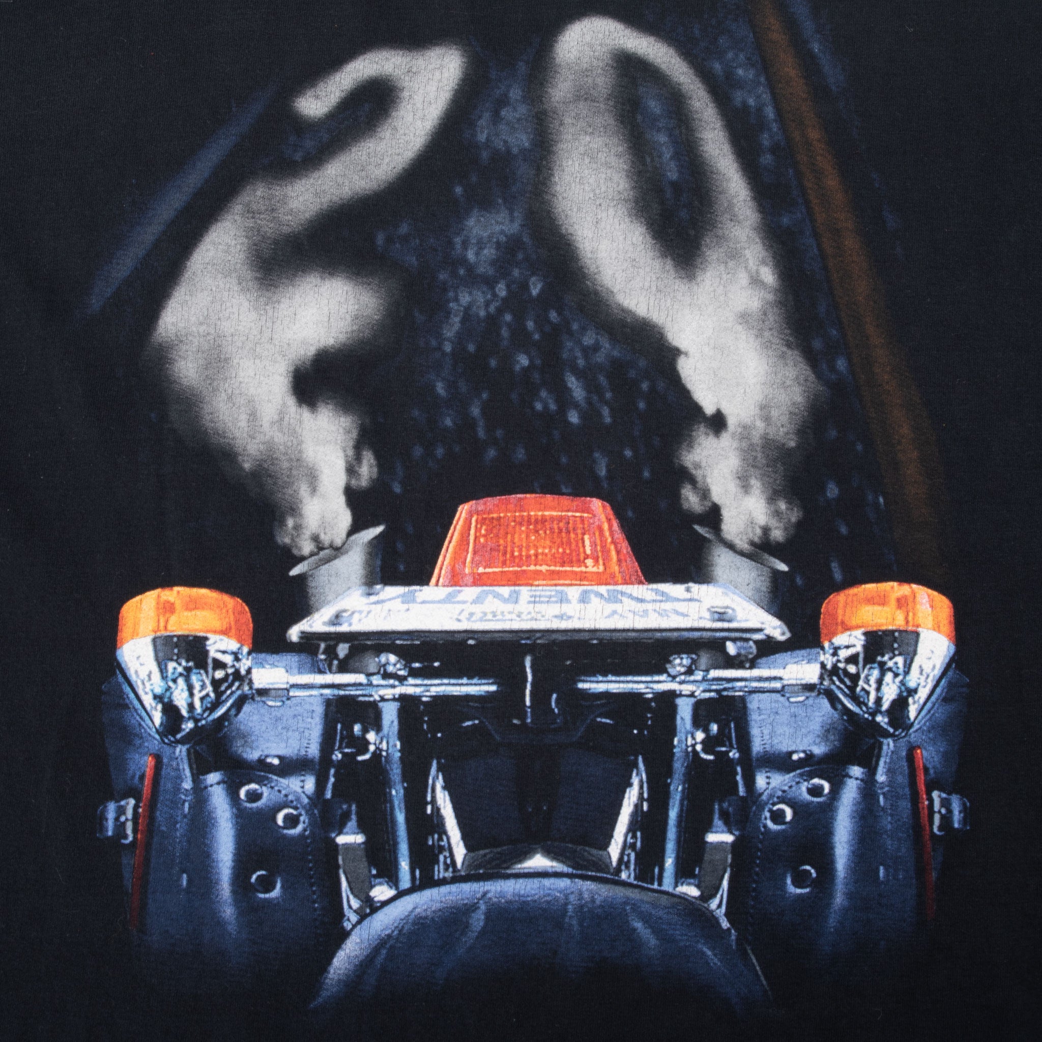 Vintage Lynyrd Skynyrd Tee Shirt 20Th Anniversary 1990S Size Large With Single Stitch Sleeves