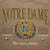 Vintage Ncaa Notre Dame Fighting Irish Sweatshirt 1990S Size Large