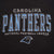 Vintage Nfl Carolina Panthers Tee Shirt 1997 Size Xl Made In Usa With Single Stitch Sleeves
