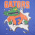 Vintage Ncaa Florida Gators 1990S Tee Shirt Size Large Made In Usa