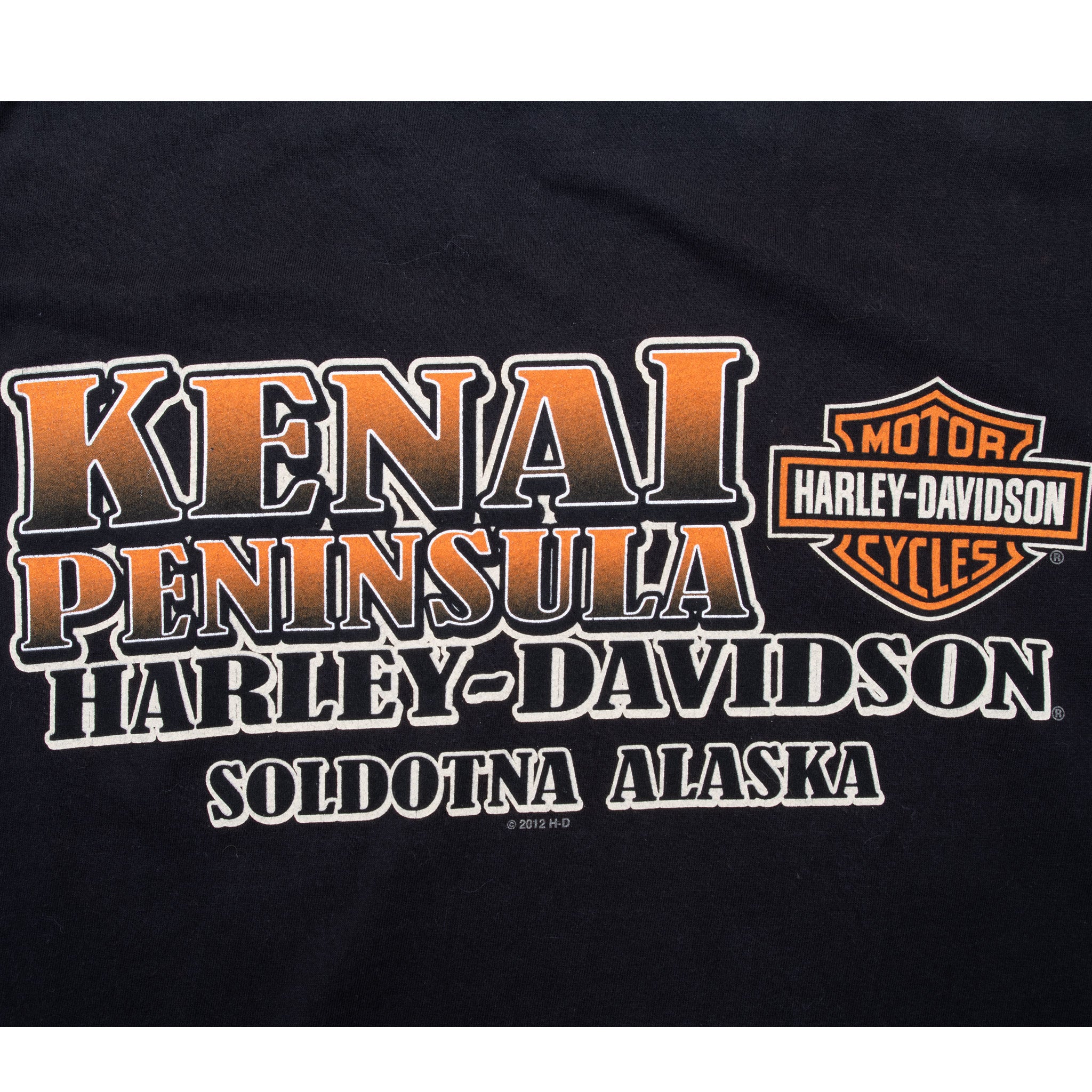 Vintage Harley Davidson Soldotna Alaska Tee Shirt 2012 Size Large