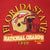 VINTAGE FLORIDA STATE SEMINOLES FOOTBALL TEAM TEE SHIRT 1993 SIZE LARGE