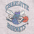 Vintage Nba Charlotte Hornets 1994 Starter Tee Shirt Size XL Made In Usa