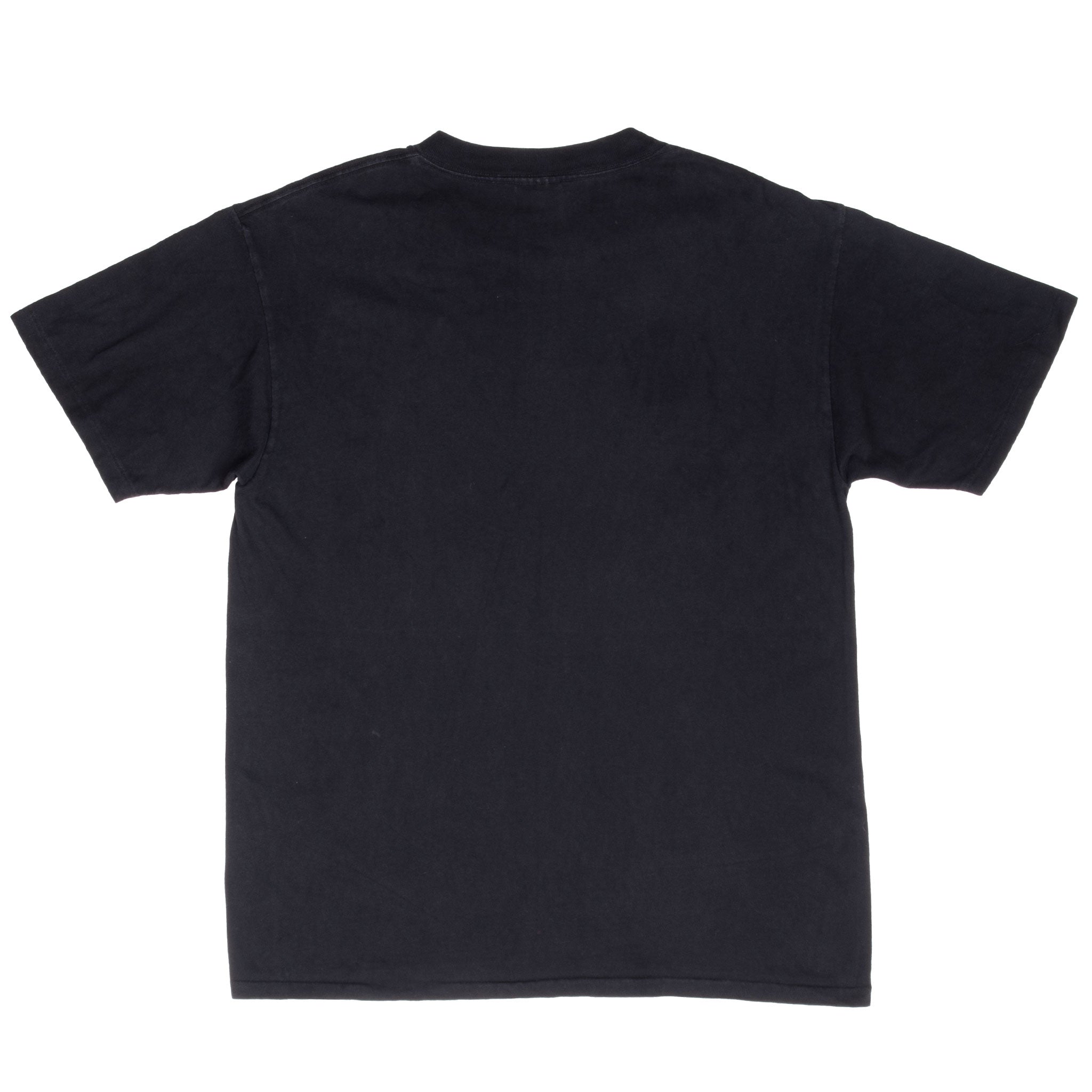 Vintage Ncaa Minnesota State Screaming Eagles 1991 Tee Shirt Size Large Made In Usa With Single Stitch Sleeves