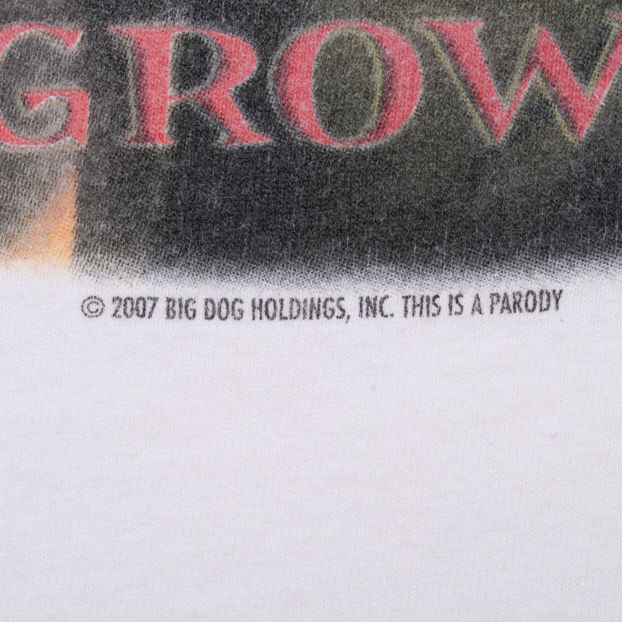 Vintage Big Dogs Hairy Pawter 2007 Tee Shirt Size XL