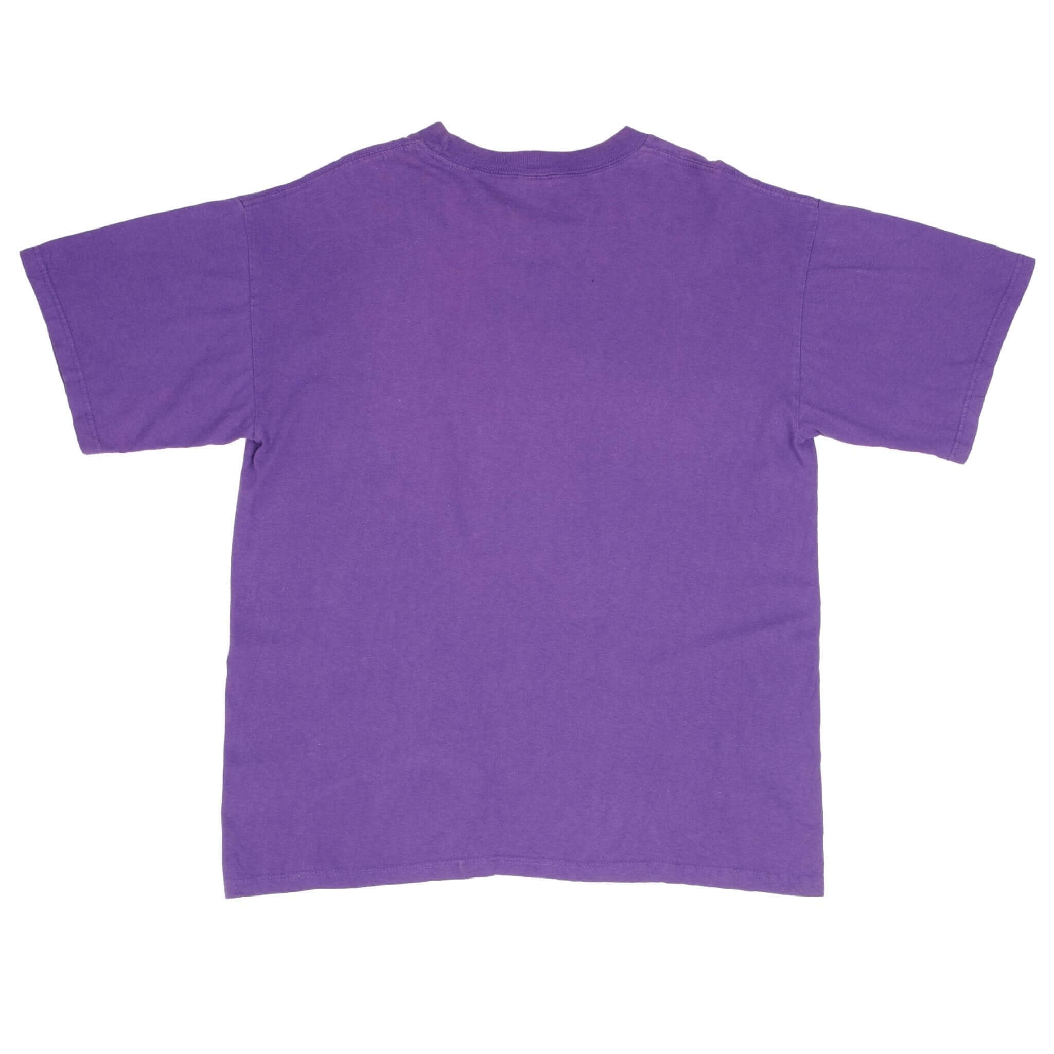 Vintage NFL Minnesota Vikings 1994 Tee Shirt Size Large Made In USA