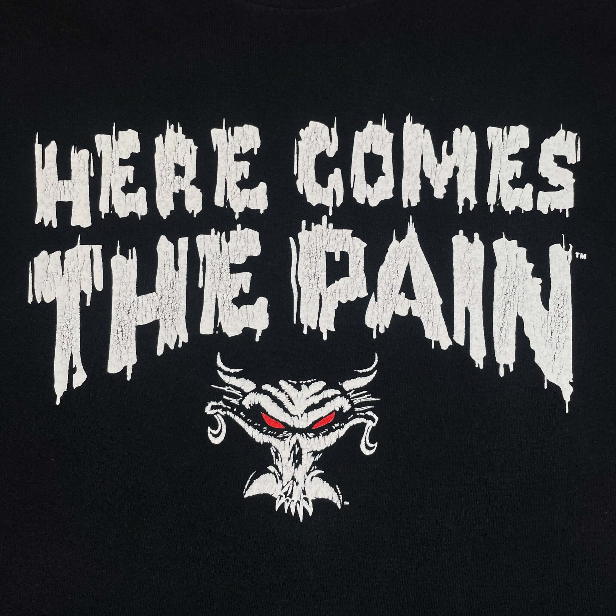 Vintage WWE World Wrestling Federation Brock Here Comes The Pain Tee Shirt 2002 Size XL
