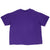 Vintage Mlb Colorado Rockies Purple Tee Shirt 1993 Size 2XL Made In Usa With Single Stitch Sleeves