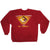 Vintage Florida State Seminoles Football National Champions FSU 18 Nebraska 16 Sweatshirt 1993 Size XLarge.
