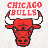 VINTAGE NBA CHICAGO BULLS SWEATSHIRT SIZE LARGE MADE IN USA