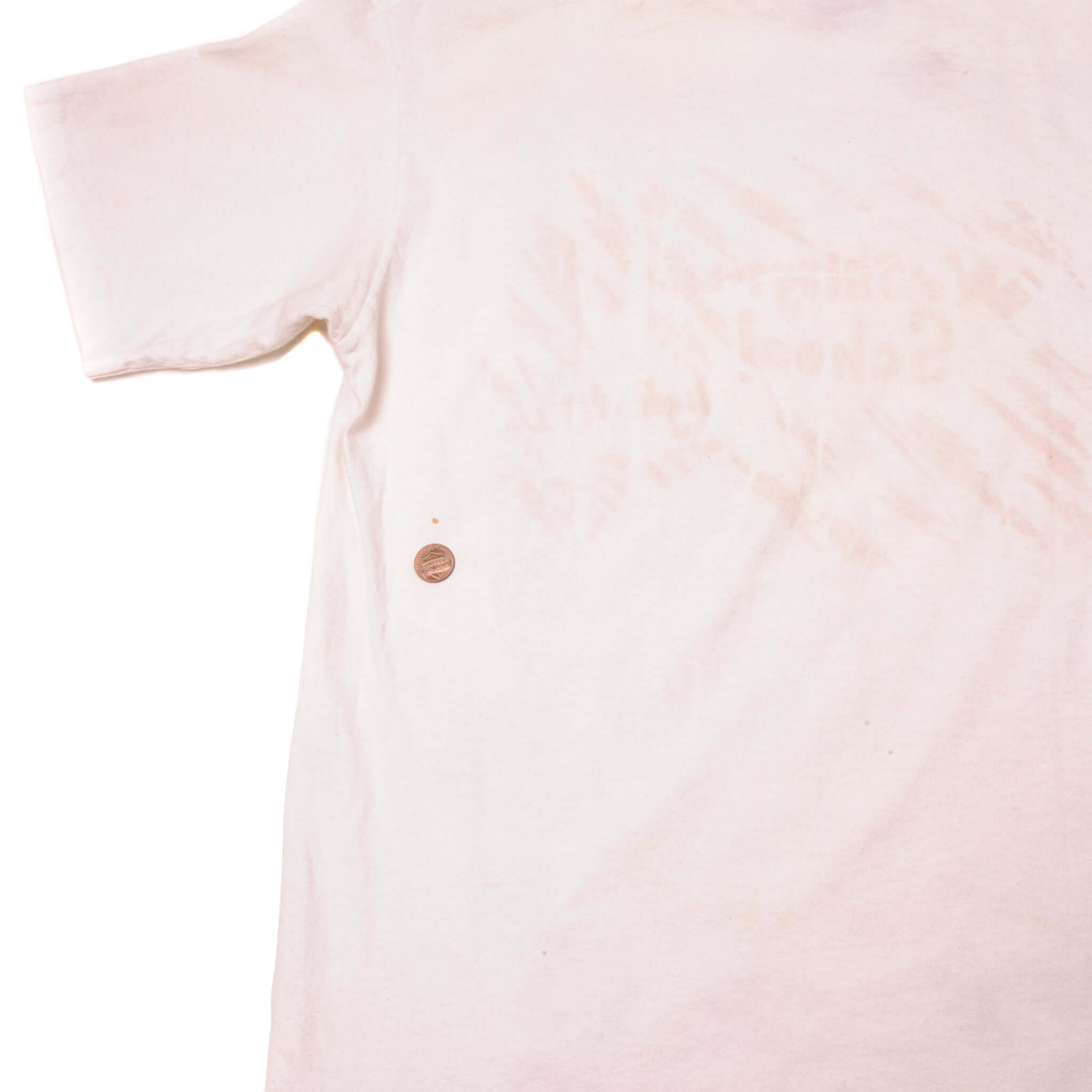 VINTAGE MLB DETROIT TIGERS TEE SHIRT 1990s SIZE LARGE MADE IN USA