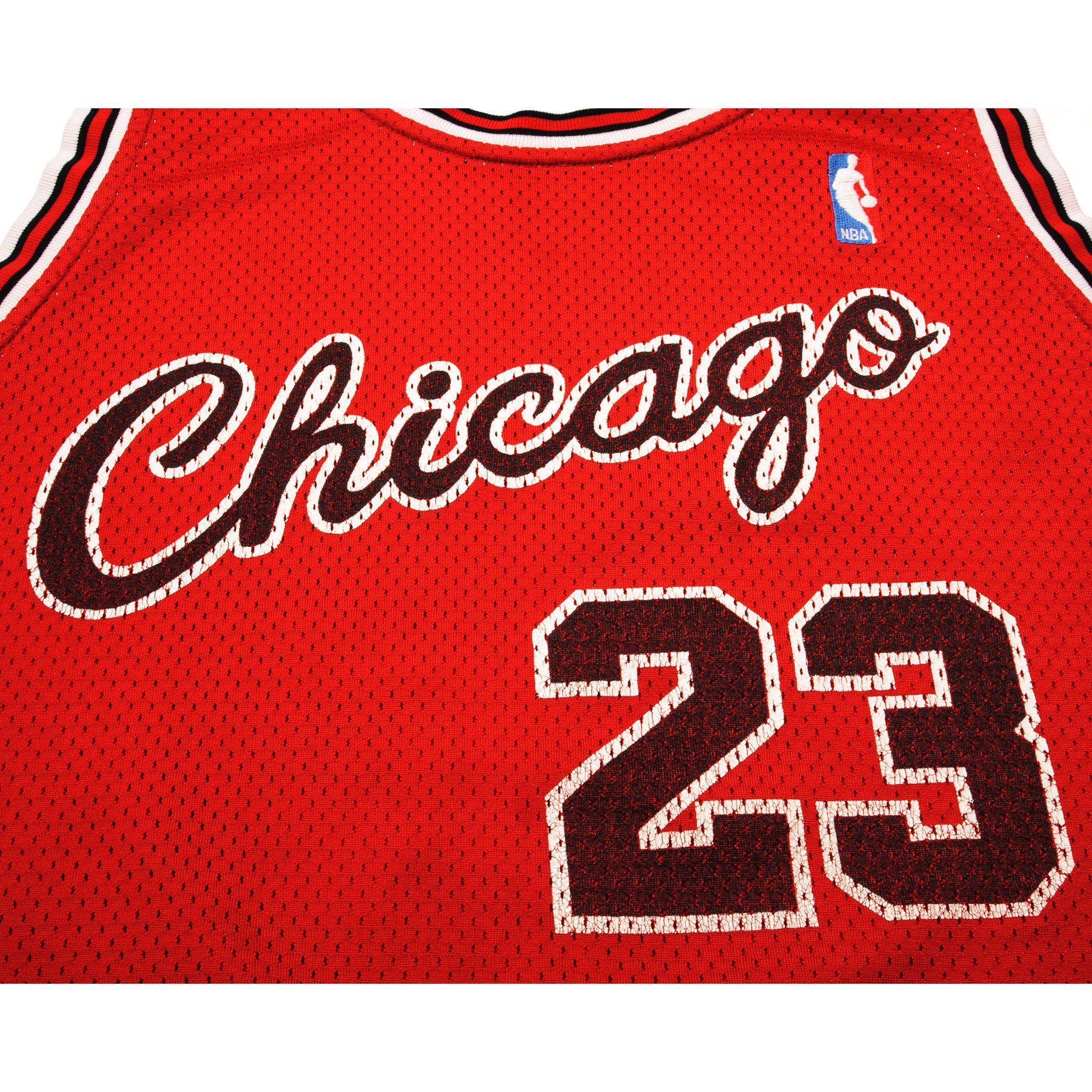Vintage Chicago Bulls Champion Michael Jordan Jersey Size L – My